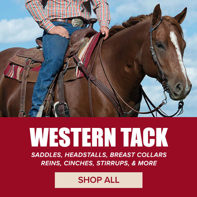 Western Tack: Saddles, Headstalls, Breast Collars, Reins, Cinches, Stirrups & More. Shop All.